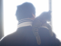 猫のアイシス